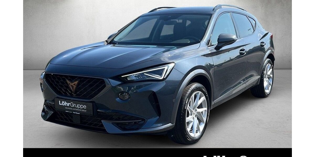 Cupra Formentor 13.664 km 25.480 &euro; Mainz 55120