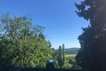 Dachgeschoßwohnung Königstein im Taunus - 3.5 Zimmer, 98 m&sup2;, 1.520&euro; | Angebot:26412943