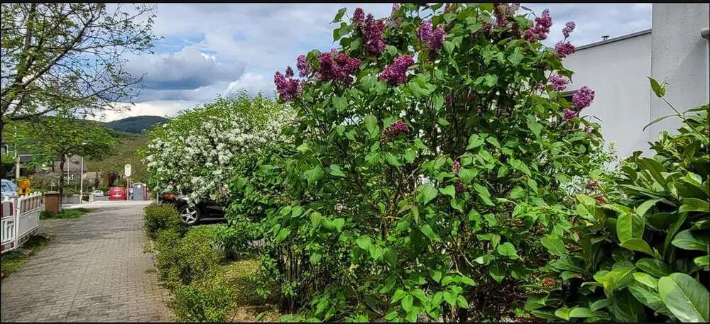 Etagenwohnung Eppstein - 3.5 Zimmer, 93 m&sup2;, 1.023&euro; | Angebot:25126113