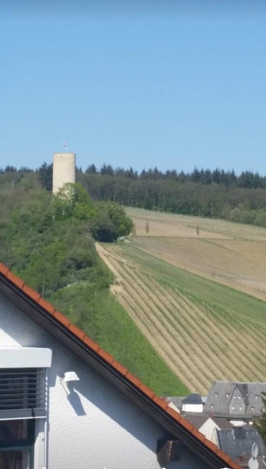 Preiswertes Eigentum erwerben in Kiedrich