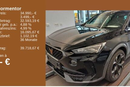Cupra Formentor 17.444 km 32.990 € Bingen / Rhein 55411