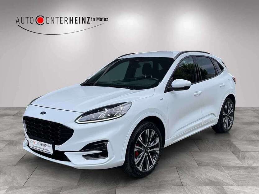 Kuga
