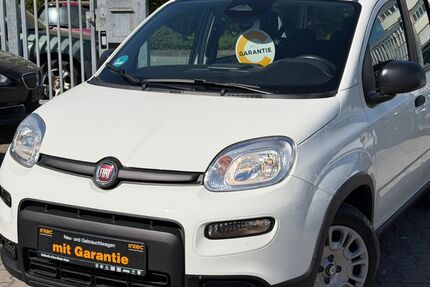 Fiat Panda 6.600 km 12.900 &euro; Kelkheim 65779