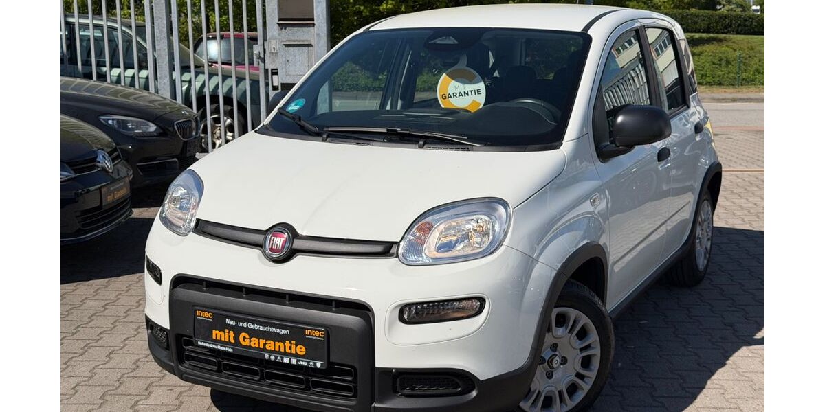 Fiat Panda 6.600 km 12.900 &euro; Kelkheim 65779