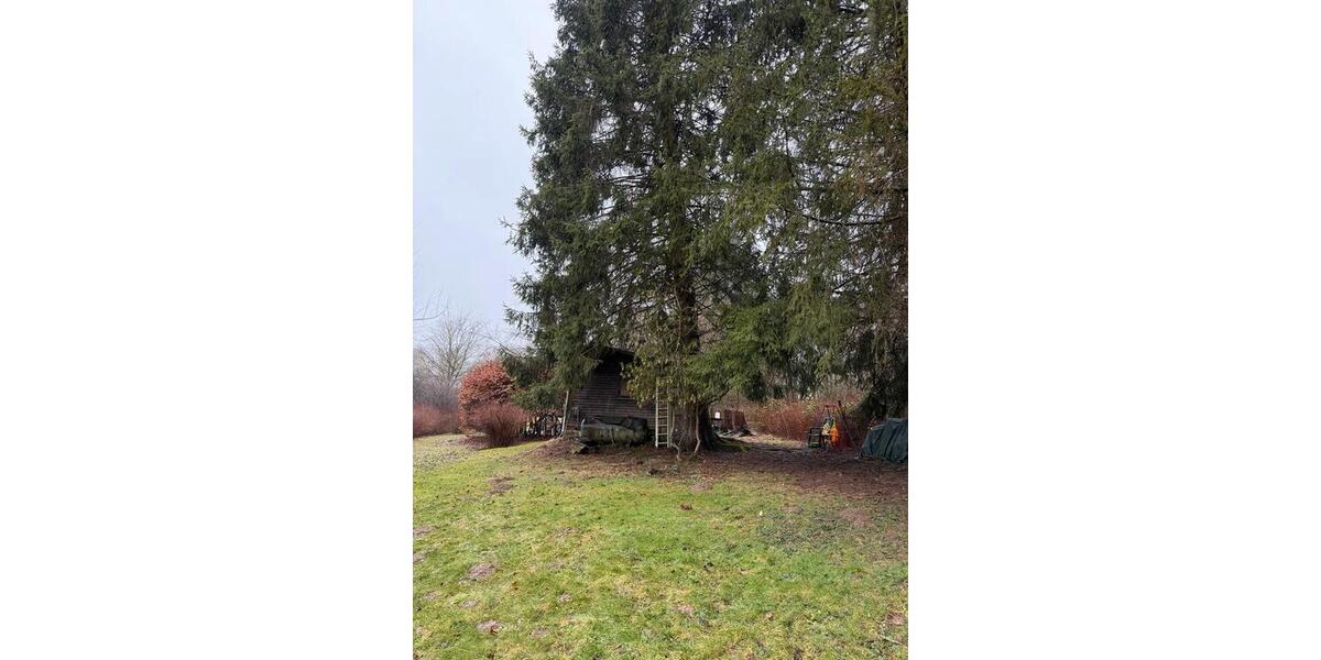 Grundstück Rüsselsheim am Main - 180&euro; | Angebot:26325208