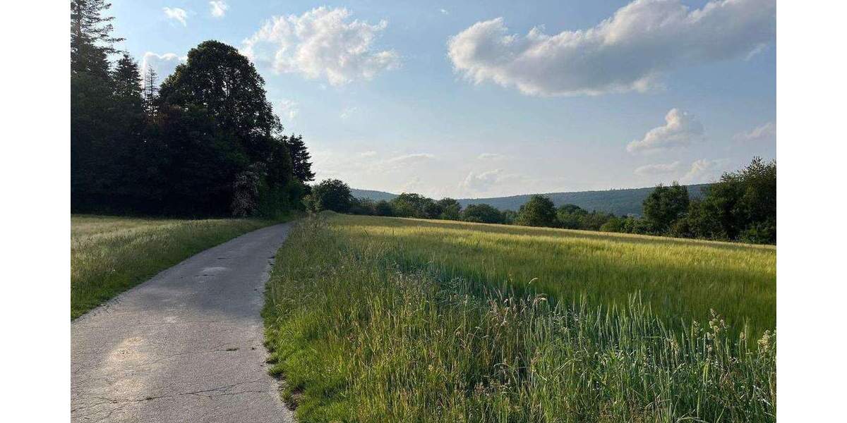 Reihenmittelhaus Wiesbaden Naurod - 4 Zimmer, 131 m&sup2;, 875.000&euro; | Angebot:25658758