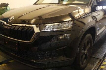 Skoda Karoq 59.747 km 24.980 &euro; Mainz 55129