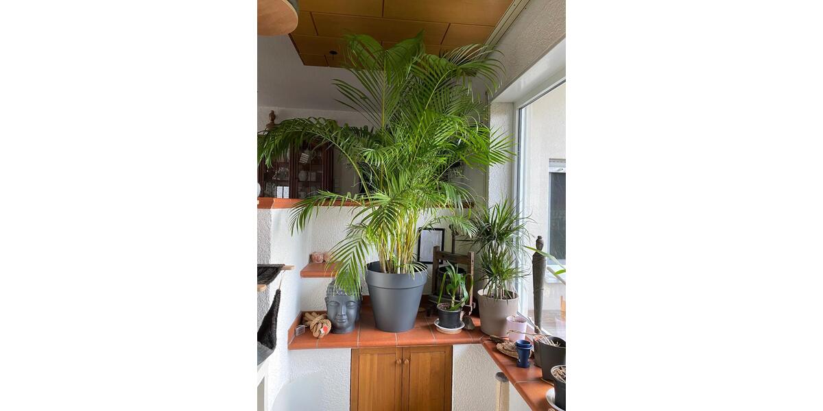 Zentral gelegene Einliegerwohnung zur Miete auch als WG möglich 3 zimmer