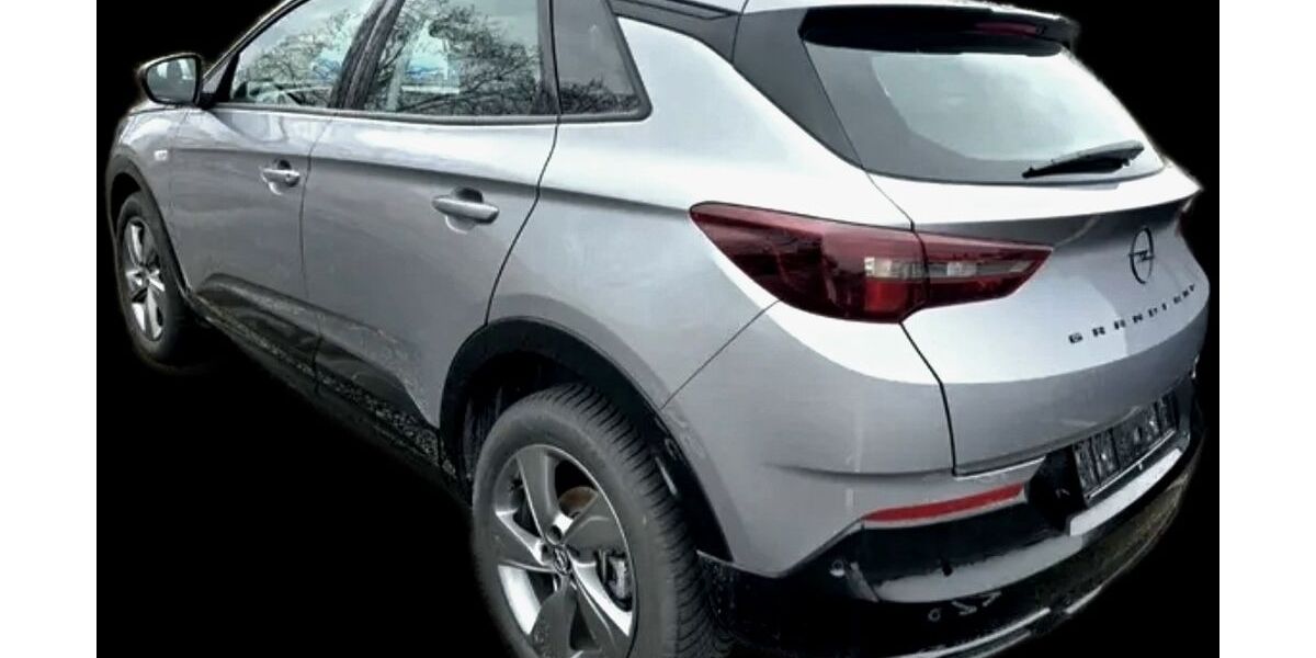 Opel Grandland (X) 16.900 km 21.985 € Nierstein 55283