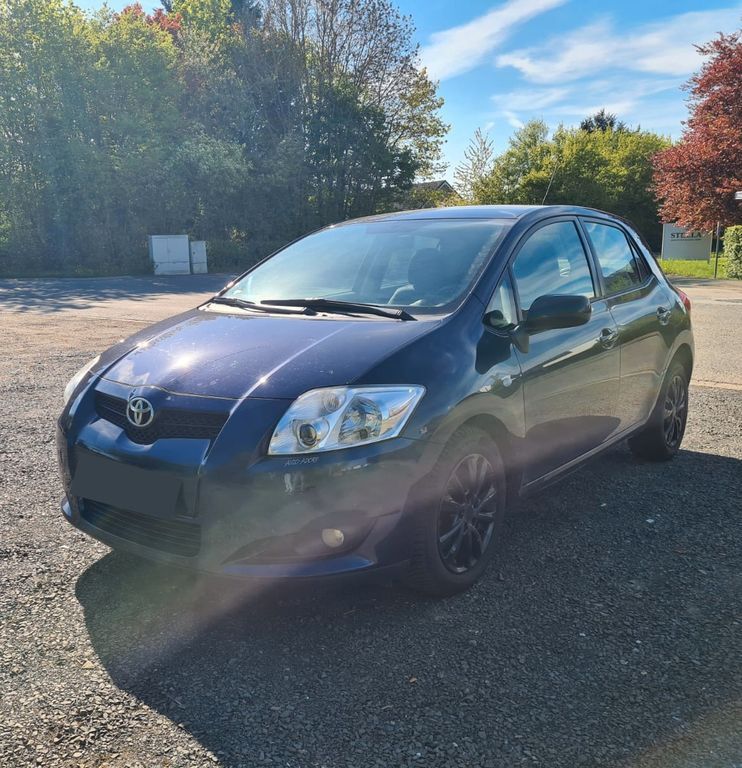 Auris