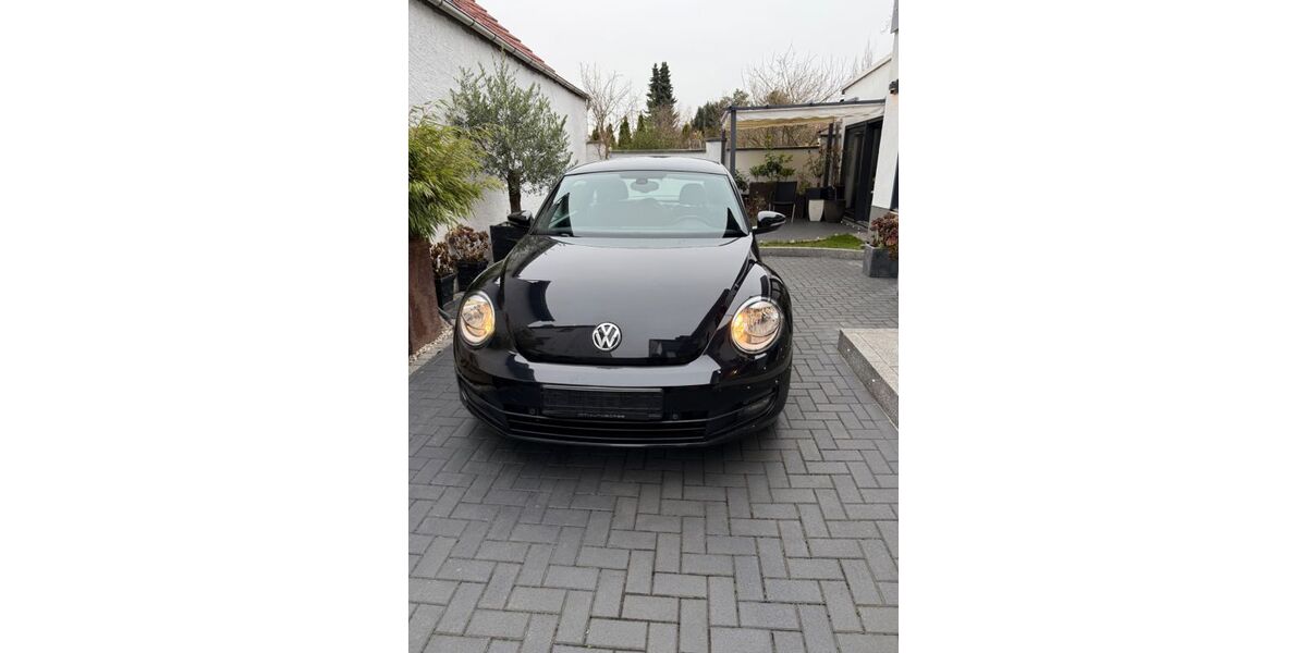 VW Beetle 229.015 km 4.699 &euro; Groß Gerau 64521