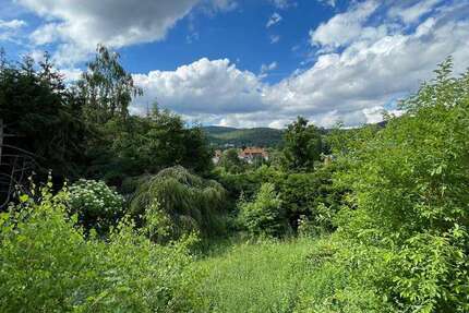 Grundstück zu verkaufen in Königstein 1.400.000 € 1293 m² zimmer