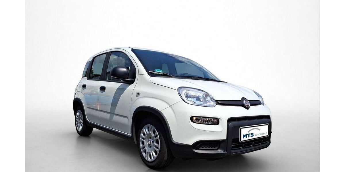 Fiat Panda 12.264 km 12.460 &euro; Oberursel 61440