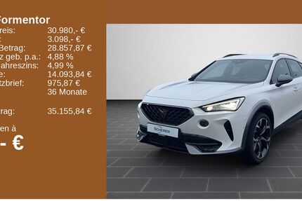 Cupra Formentor 48.450 km 29.980 &euro; Mainz 55129