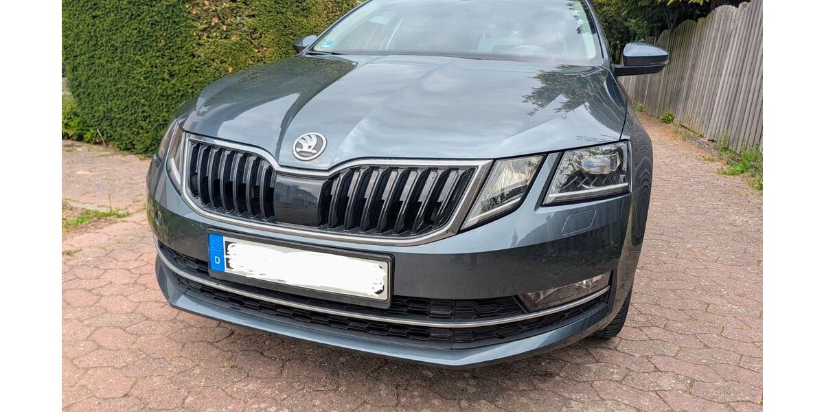 Skoda Octavia 96.000 km 13.890 &euro; Mainz 55127