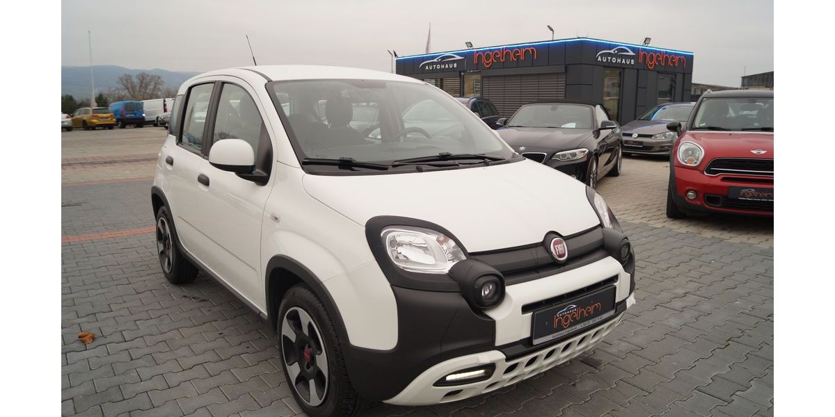 Fiat Panda 49.833 km 10.890 &euro; Ingelheim 55218