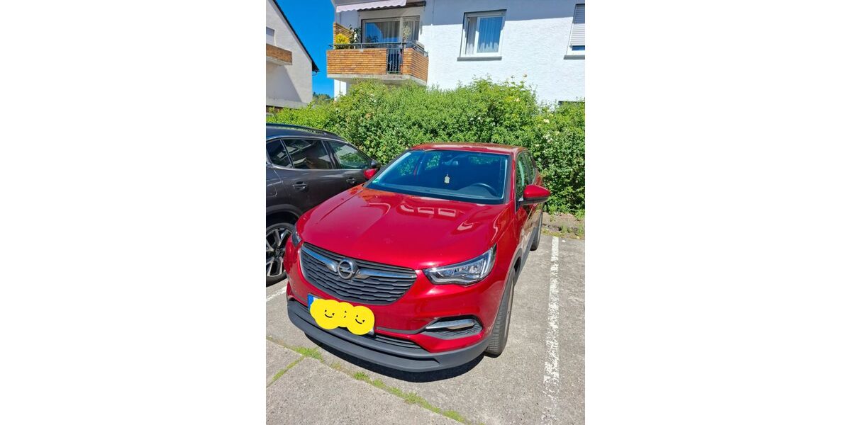Opel Grandland (X) 110.000 km 15.499 &euro; Taunusstein 65232