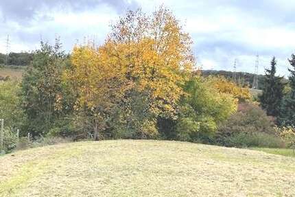 Grundstück Eppstein - 329.500&euro; | Angebot:27381940