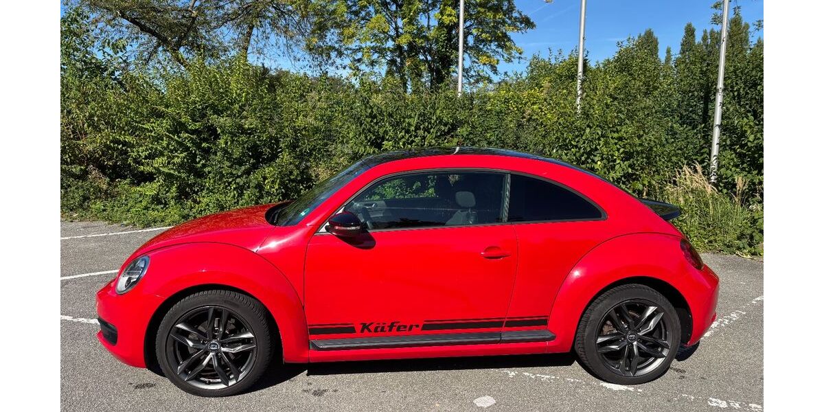 VW Beetle 145.000 km 6.990 € Flörsheim 65439