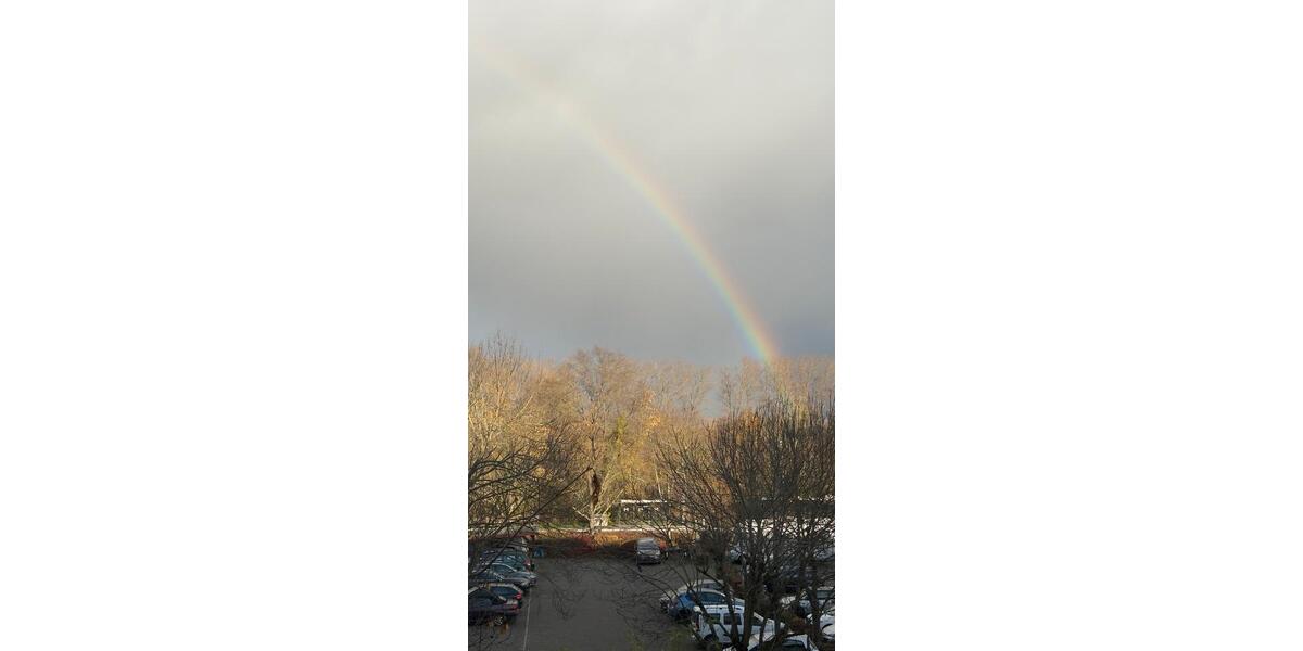 Etagenwohnung Mainz Laubenheim - 1 Zimmer, 17 m&sup2;, 322&euro; | Angebot:25253751