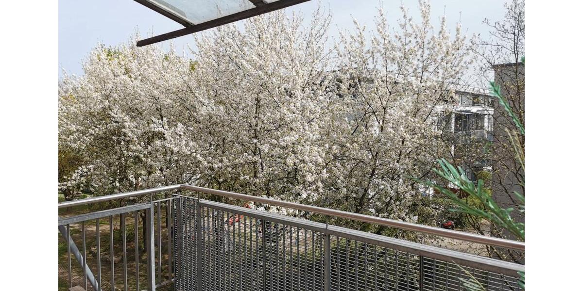 Etagenwohnung Wiesbaden Dotzheim - 1 Zimmer, 42 m&sup2;, 700&euro; | Angebot:26592075