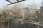 Etagenwohnung Wiesbaden Dotzheim - 1 Zimmer, 42 m&sup2;, 700&euro; | Angebot:26592075
