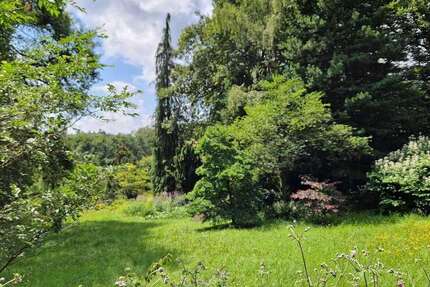 Grundstück zu verkaufen in Hofheim am Taunus - Langenhain 1.460.000 € 7053 m² zimmer