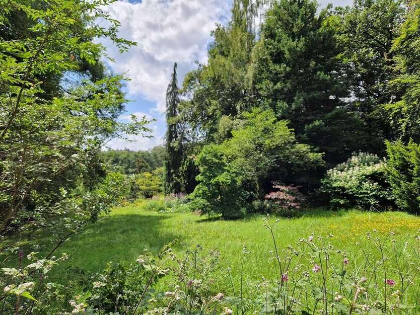 Grundstück zu verkaufen in Hofheim am Taunus - Langenhain 1.460.000 € 7053 m² zimmer