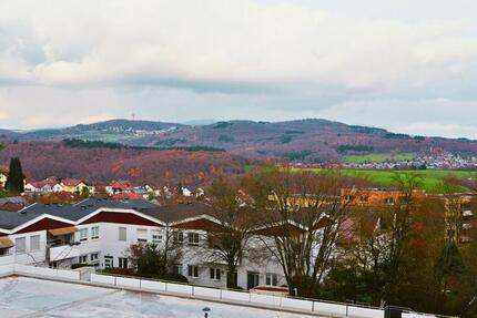 Hochwertig kernsanierte 4-Zi-Wohnung mit traumhaftem Taunusblick 4 zimmer
