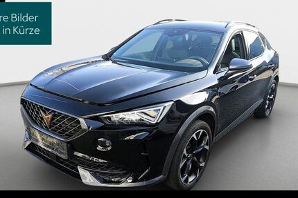 Cupra Formentor 25.365 km 23.690 &euro; Hofheim-Diedenbergen 65719