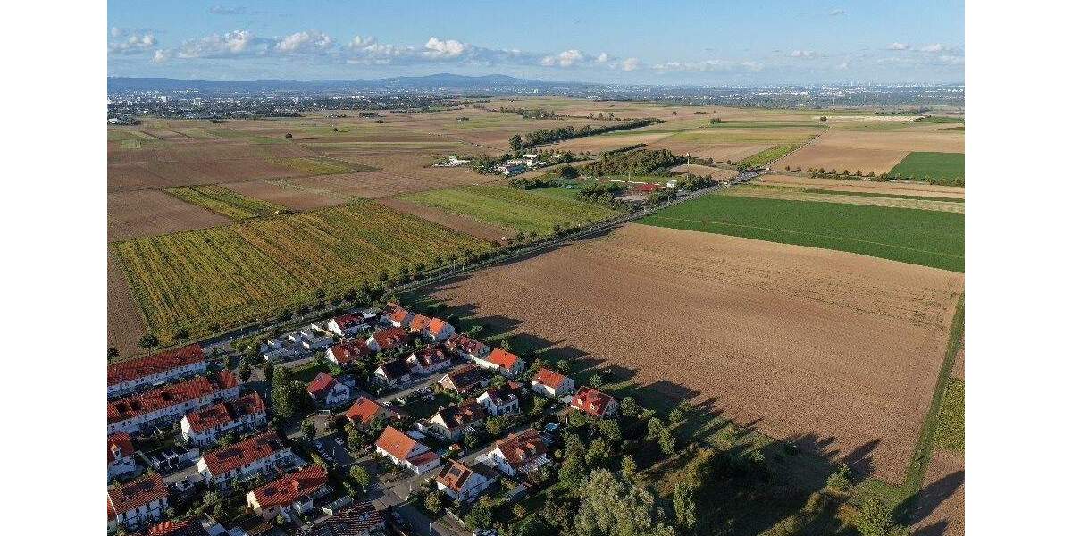 Grundstück Mainz Ebersheim - 500.000&euro; | Angebot:24040241