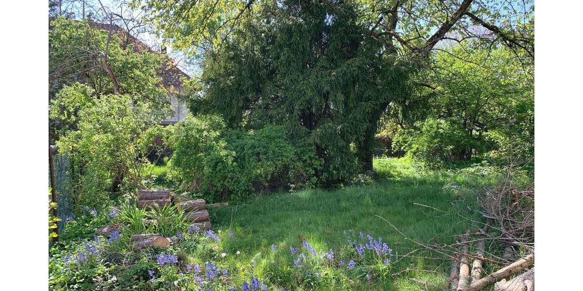 Grundstück Oberursel (Taunus) - 795.000&euro; | Angebot:26357430