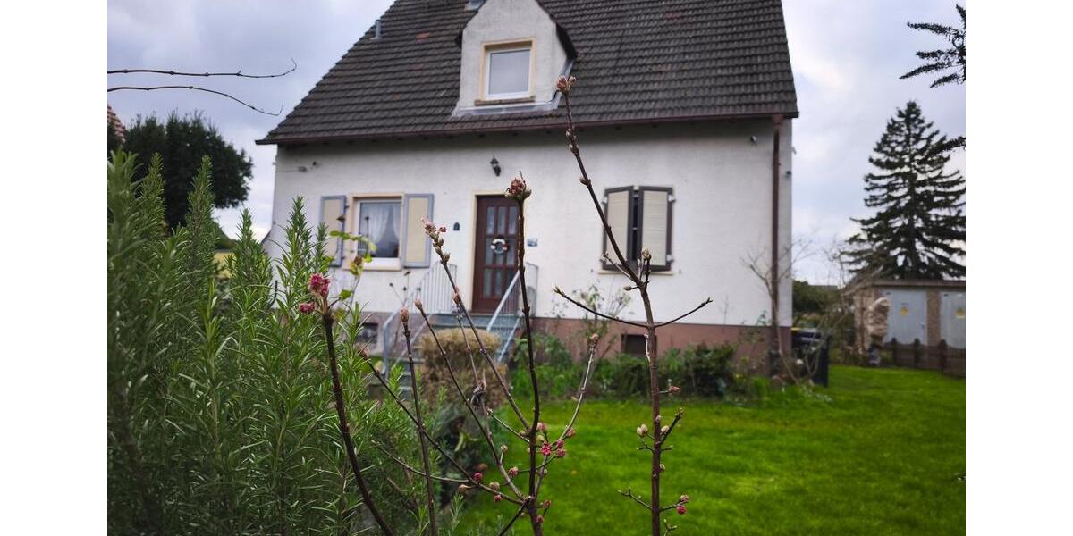 Einfamilienhaus Groß-Gerau Gerau - 5 Zimmer, 132 m&sup2;, 609.000&euro; | Angebot:24805333