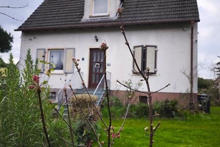 Haus Groß-Gerau Gerau - 5 Zimmer, 132 m&sup2;, 609.000&euro; | Angebot:24805333