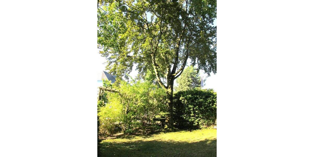 Einfamilienhaus Kriftel - 8 Zimmer, 251 m&sup2;, 980.000&euro; | Angebot:25968360