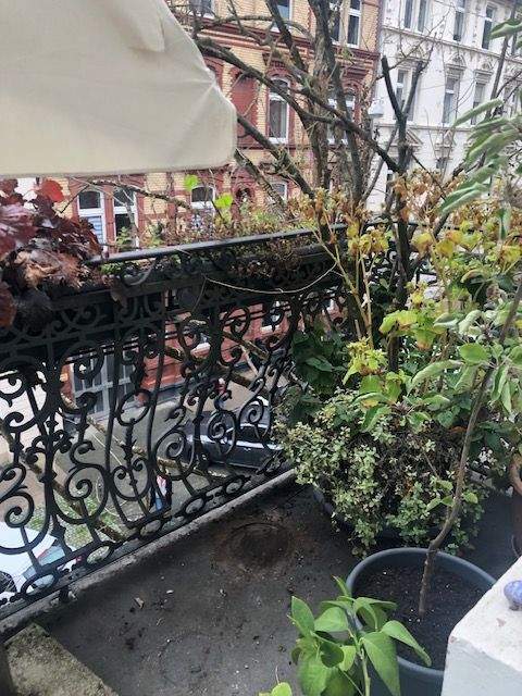 Ruhige Altbau-Wohnung in der Emanuel-Geibel-Straße 4 zimmer