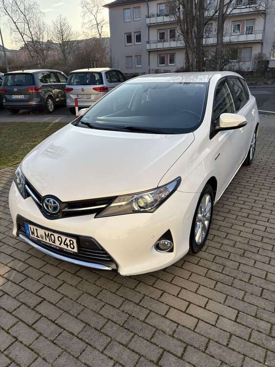 Auris