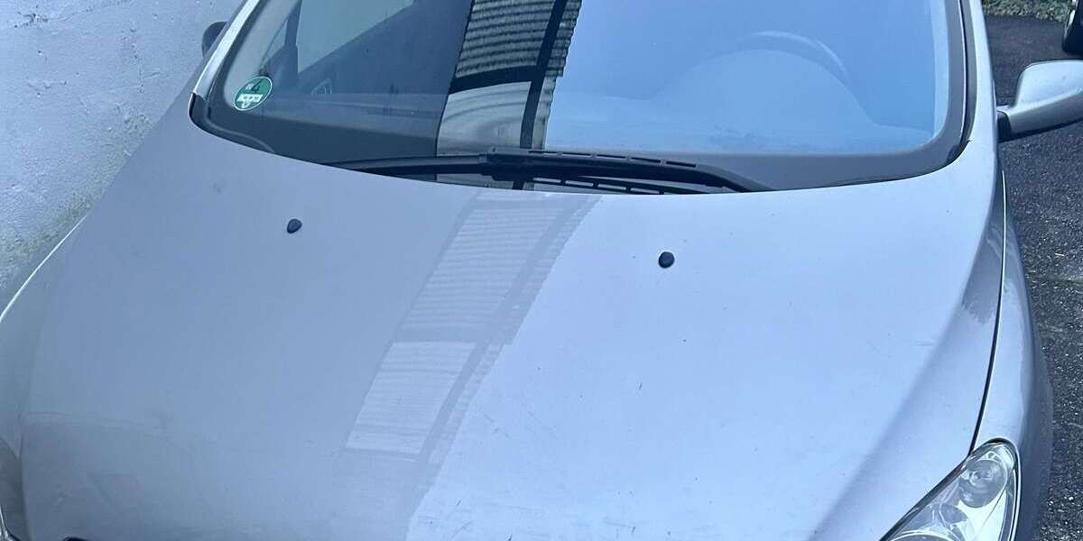 Peugeot 307 202.386 km 480 &euro; Rūsselsheim 65428