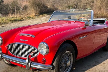 Austin Healey Andere 154.900 km 36.900 &euro; Aarbergen 65326
