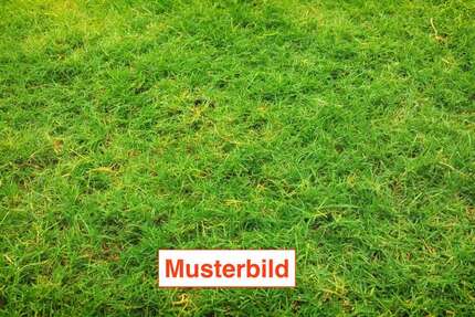 Grundstück Schmitten - 220.000&euro; | Angebot:27166889