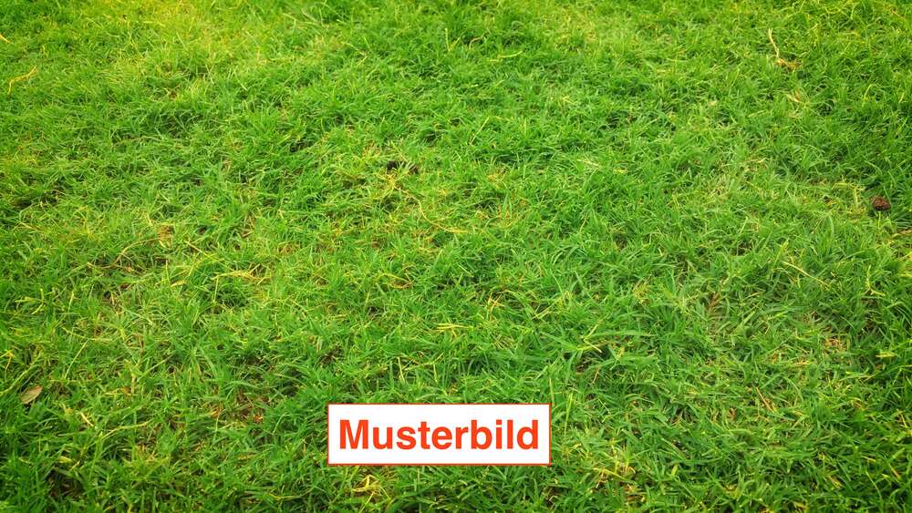 Grundstück Schmitten - 220.000&euro; | Angebot:27166889