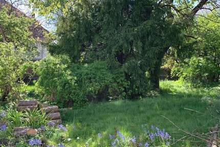 Grundstück Oberursel (Taunus) - 795.000&euro; | Angebot:27097191