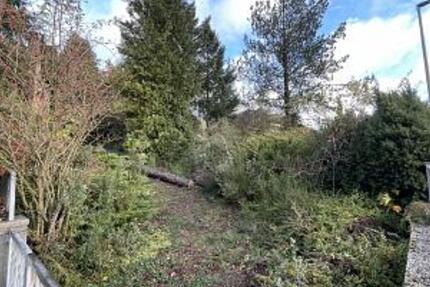 ROHDIAMANT MIT ERHOLUNGSCHARAKTER - Grundstück Rettert | Angebot:24974728