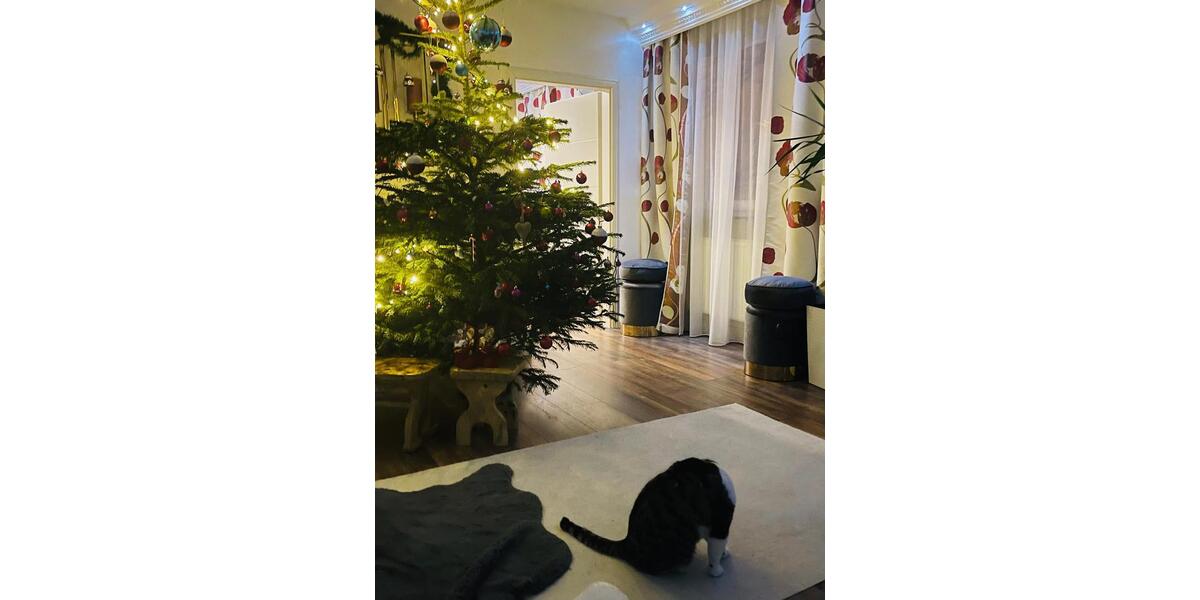 Einfamilienhaus Mainz Mombach - 8 Zimmer, 180 m&sup2;, 750.000&euro; | Angebot:27181980