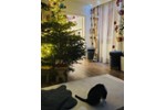 Einfamilienhaus Mainz Mombach - 8 Zimmer, 180 m&sup2;, 750.000&euro; | Angebot:27181980