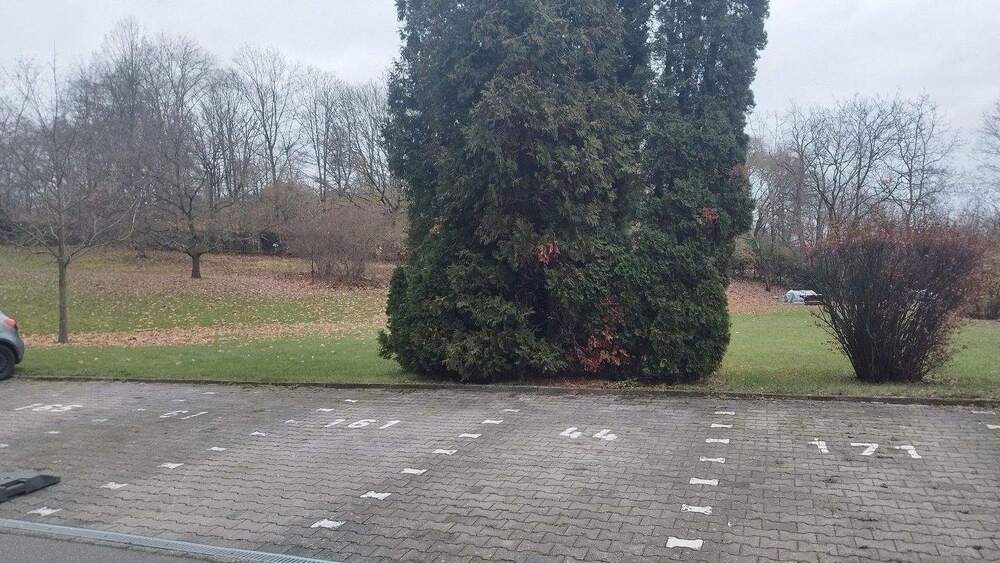 Etagenwohnung Mainz Lerchenberg - 2 Zimmer, 56 m&sup2;, 185.000&euro; | Angebot:24388292