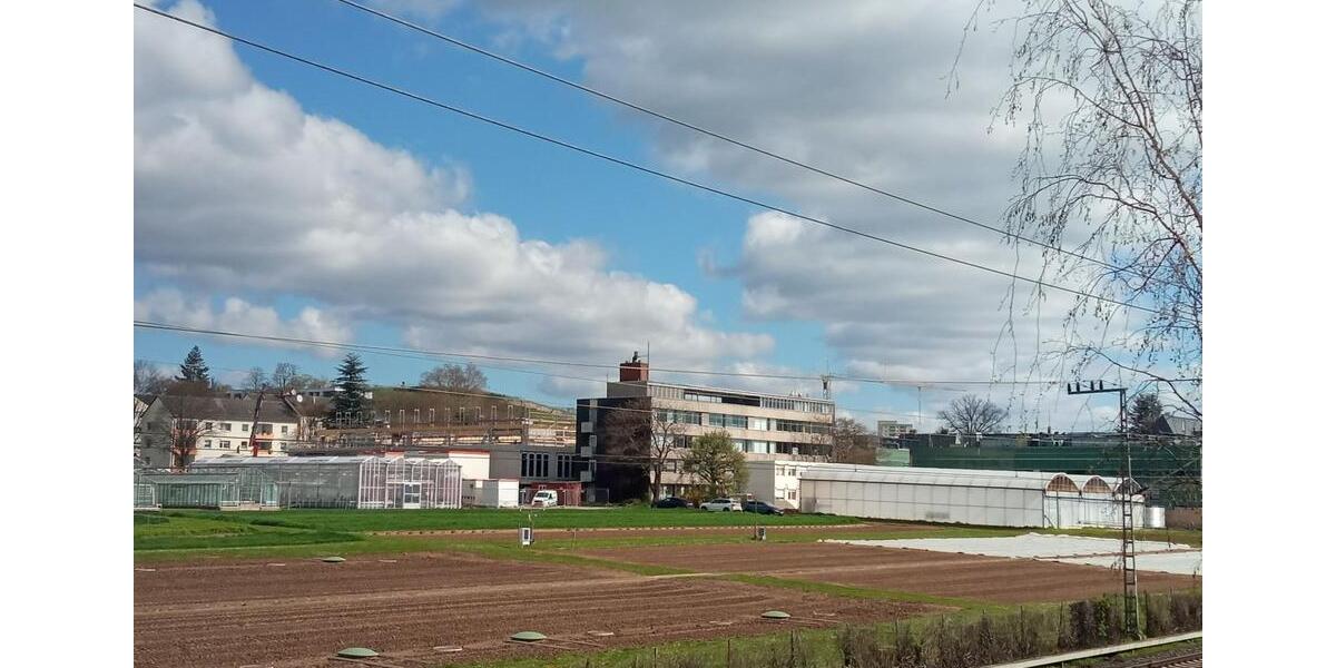Studentenapartment in Geisenheim 1 zimmer