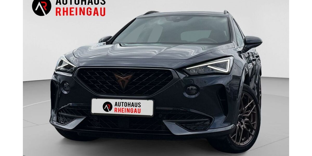 Cupra Formentor 66.300 km 24.950 &euro; Geisenheim am Rhein 65366