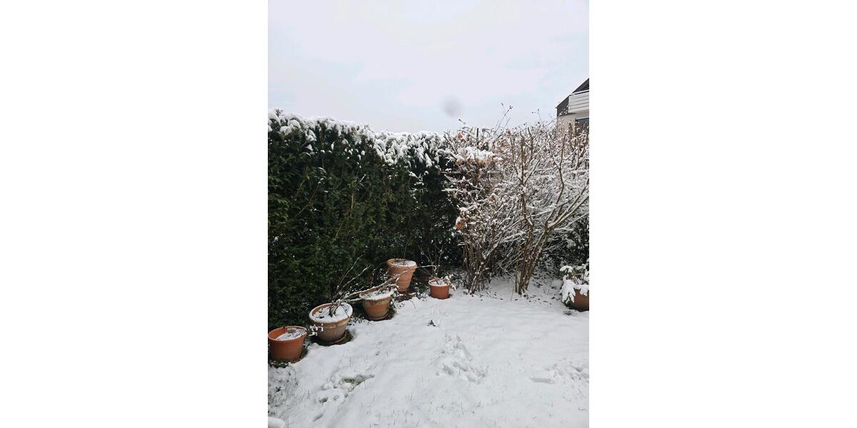 2 Zimmer Wohnung mit Garten 2 zimmer