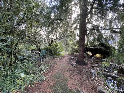 ROHDIAMANT MIT ERHOLUNGSCHARAKTER zimmer